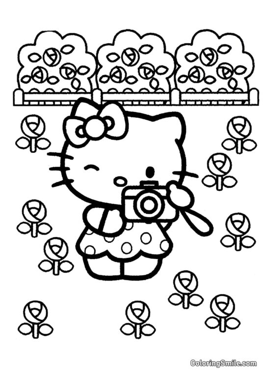 Hello Kitty con una Macchina Fotografica - Pagina da Colorare