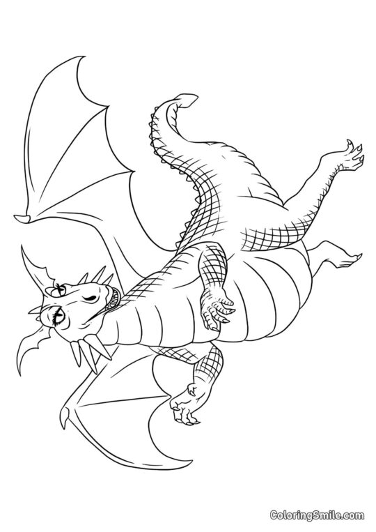 Ragazza Drago - Pagina da Colorare