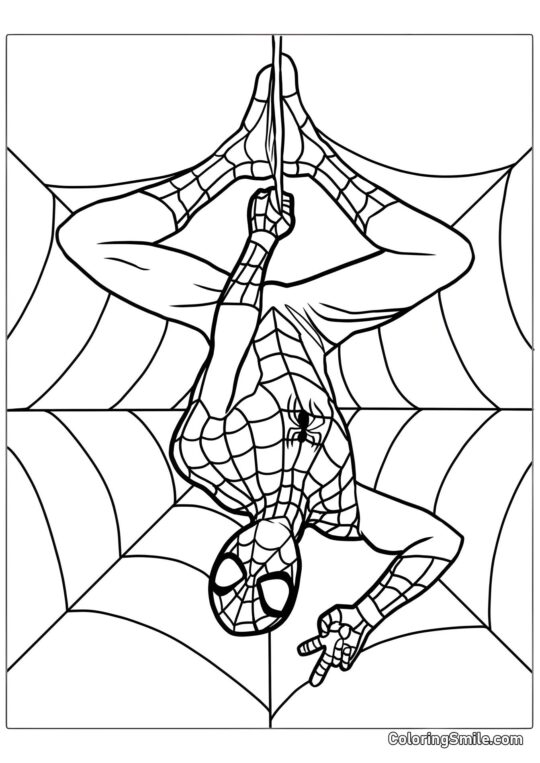 Spider-Man appeso a testa in giù Spider-Man appeso a testa in giù - Pagina da Colorare