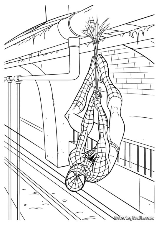 Nuovo Spider-Man Nuovo Spider-Man - Pagina da Colorare