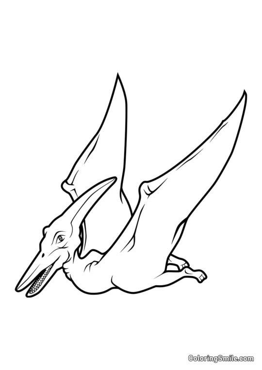 Pteranodon - Pagina da Colorare