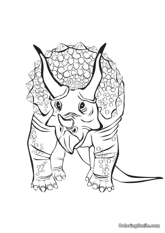 Triceratops della Famiglia Ceratopsidae - Pagina da Colorare