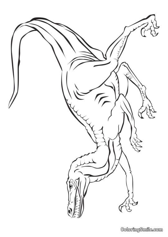 Velociraptor in Caccia - Pagina da Colorare