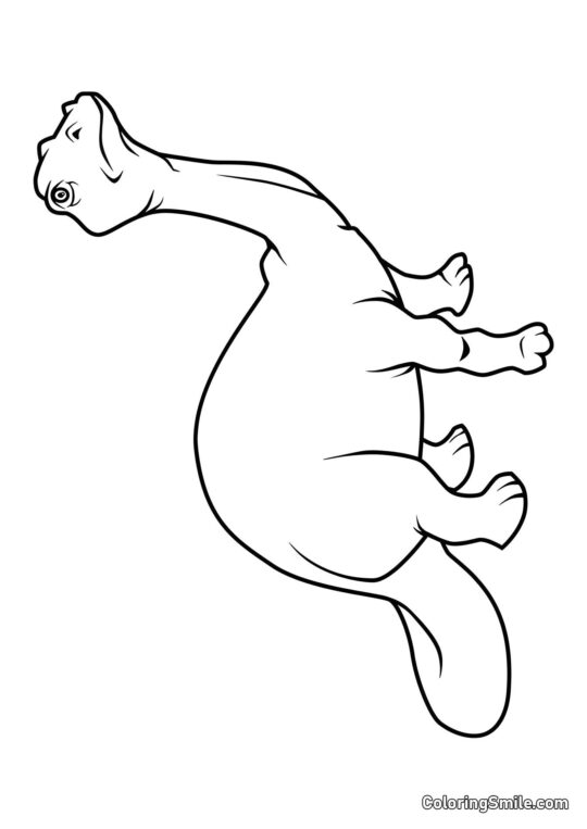 Brontosaurus - Pagina da Colorare