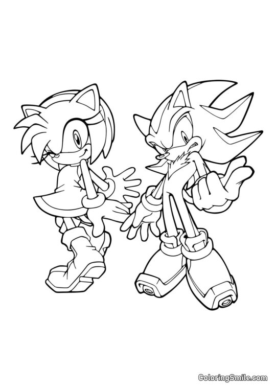 Sonic e Amy Rose Sonic e Amy Rose - Pagina da Colorare