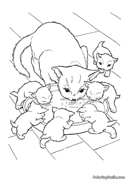 Gatto e Sei Cuccioli - Pagina da Colorare