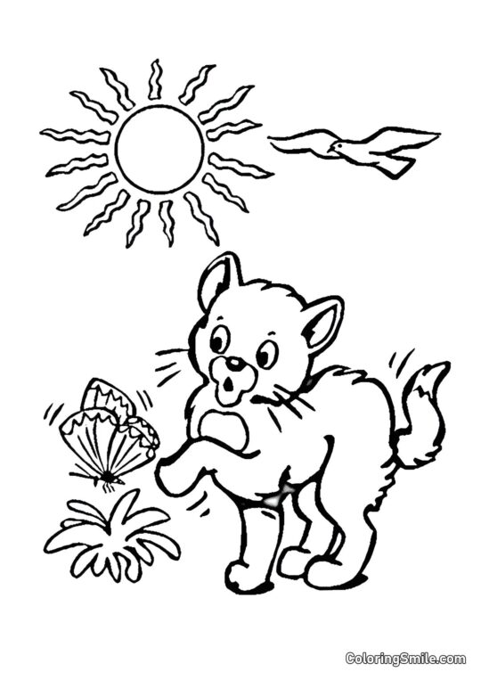 Gatto e Farfalla - Pagina da Colorare