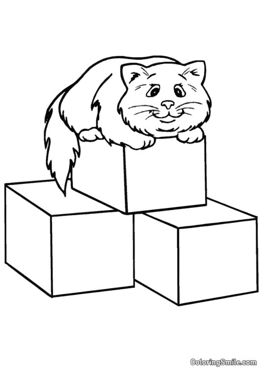 Gatto su Blocchi - Pagina da Colorare
