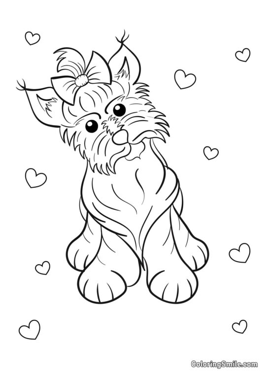 Yorkshire Terrier - Pagina da Colorare