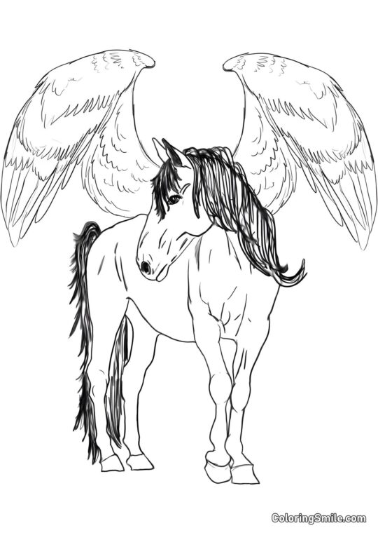 Pegaso alato - Pagina da Colorare