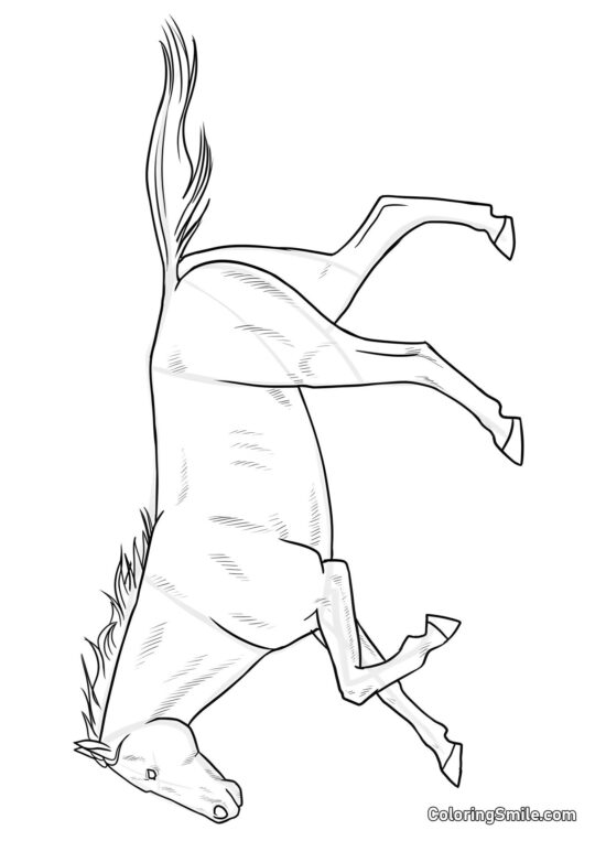 Cavallo aggraziato - Pagina da Colorare