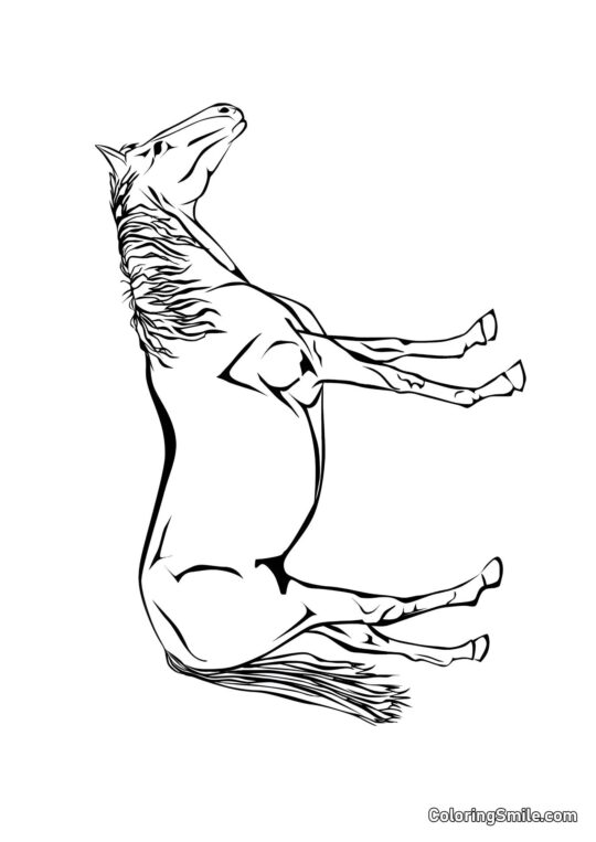 Cavallo squisito - Pagina da Colorare