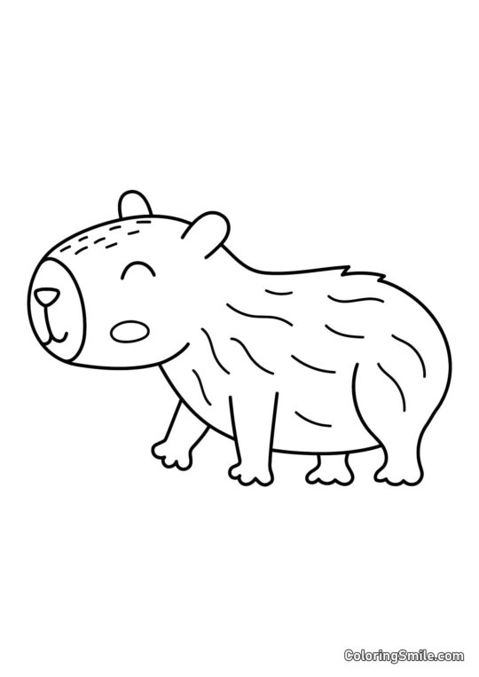 Capibara per bambini - Pagina da Colorare