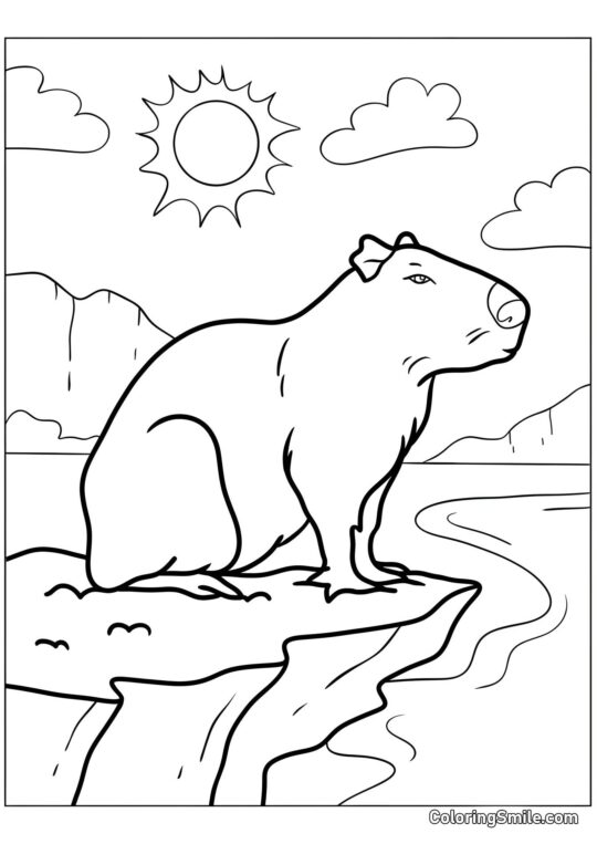 Capibara su una roccia - Pagina da Colorare